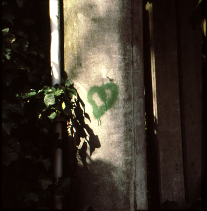 Das grüne Herz